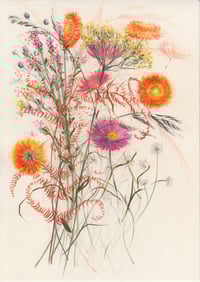 Autumn notes VI