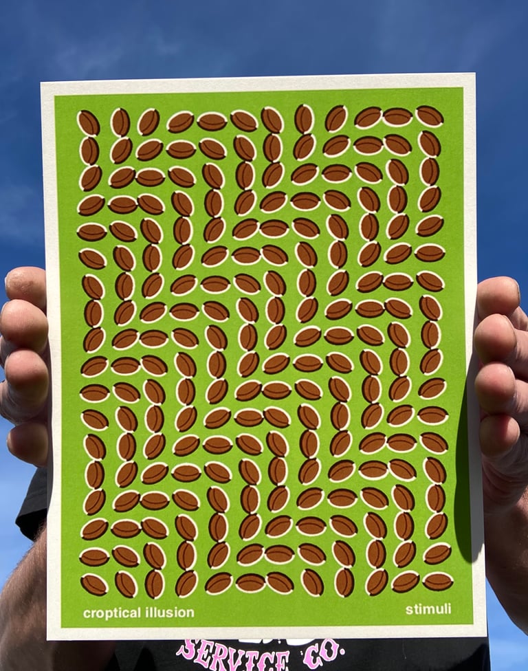 STM005 - CROPTICAL ILLUSION