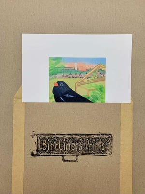 Birdliners:Amsel