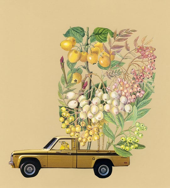 Image of All things golden. Limited edition collage print.
