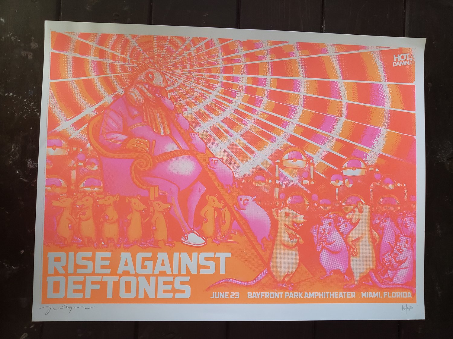 Rise Against and Deftones Gig Poster 