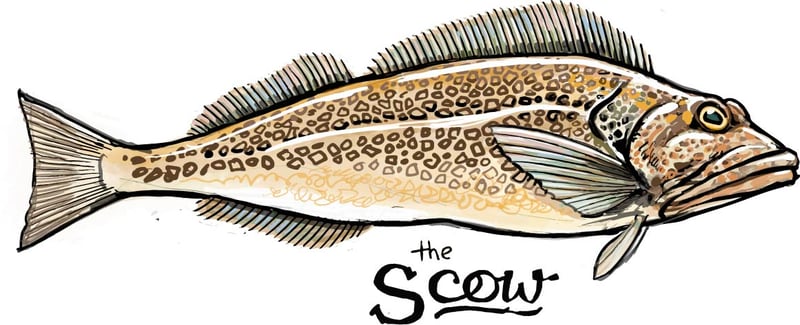 Rolling the Bag Print or Sticker | The Scow