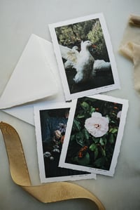 Image 1 of Luxe Photography Prints | 5x7