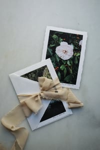 Image 4 of Luxe Photography Prints | 5x7