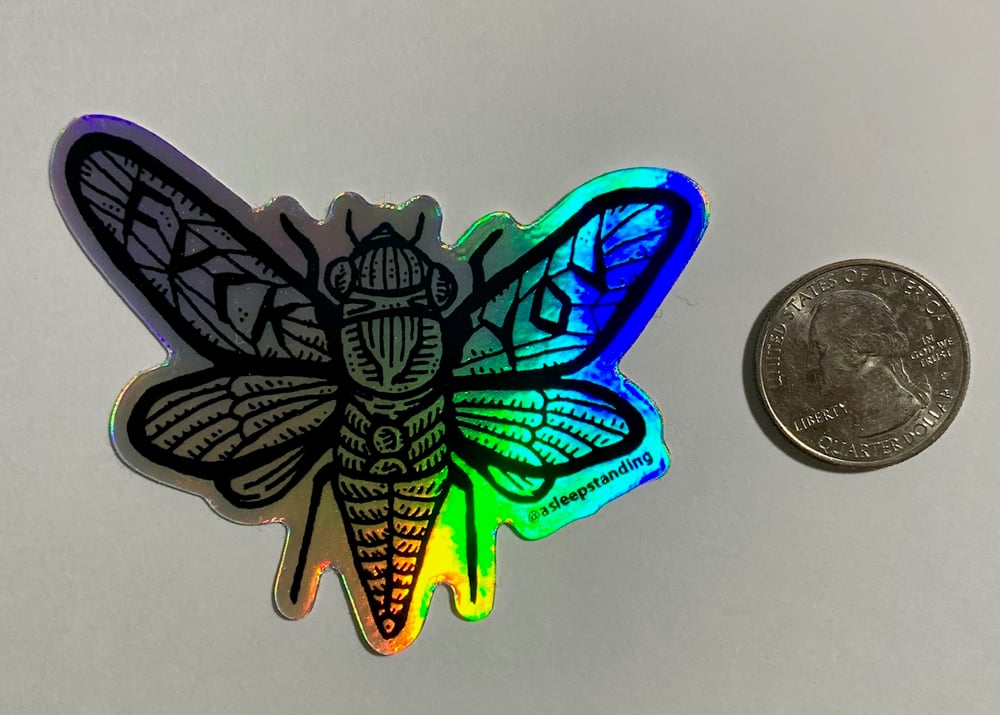Image of Foul Mouthed Cicada