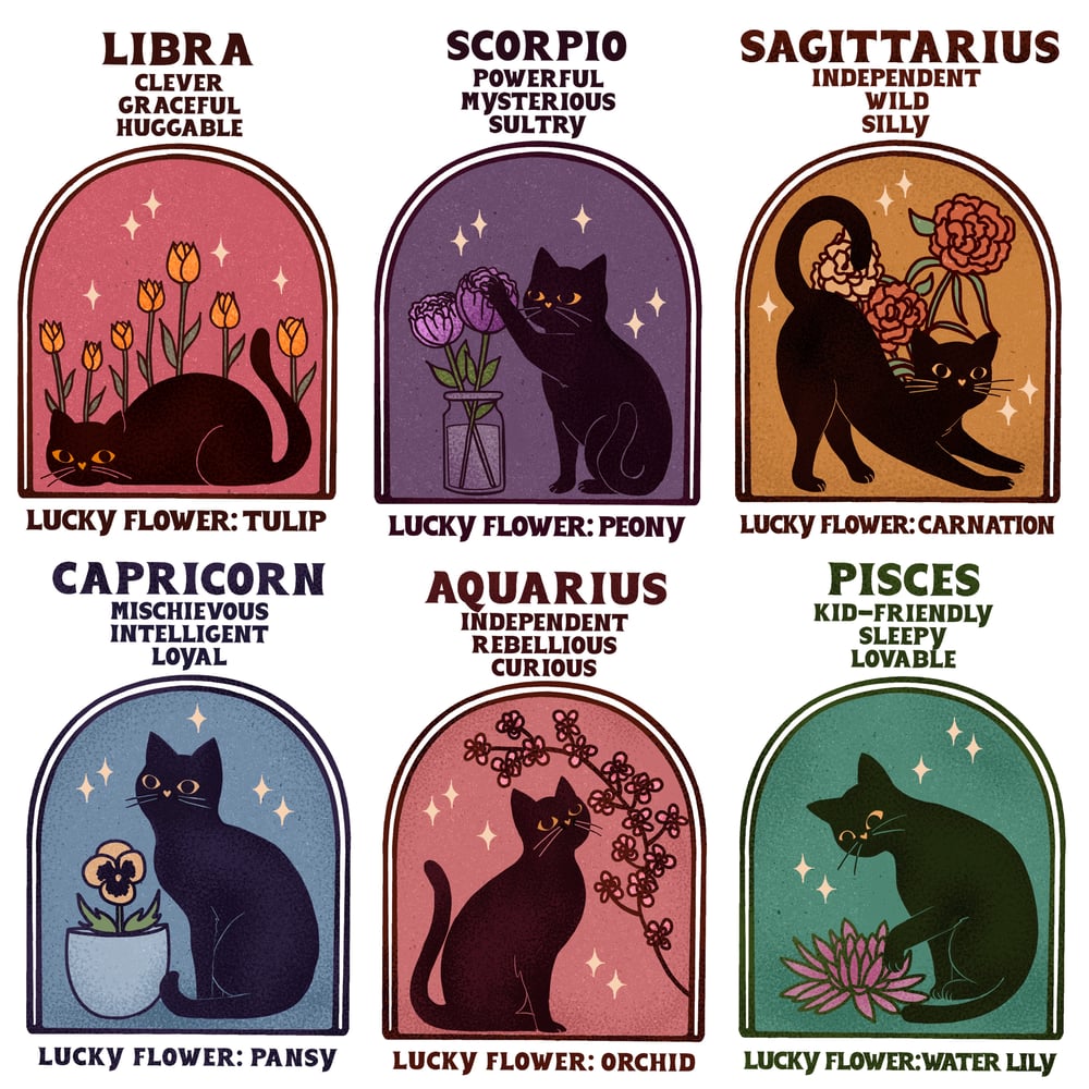 Image of CAT ASTROLOGY MUG