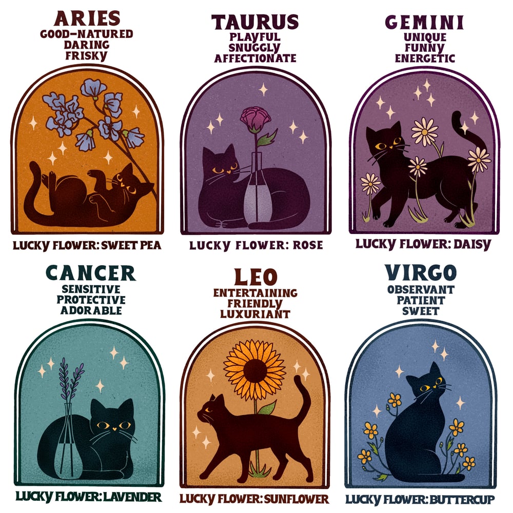 Image of LIGHT CAT ASTROLOGY CREWNECK