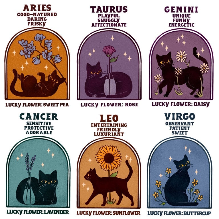 Image of CAT ASTROLOGY CANDLE