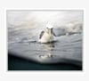 YELLOW BEAK ROAD -  Canvas print (Ready to hang) with float frame options.