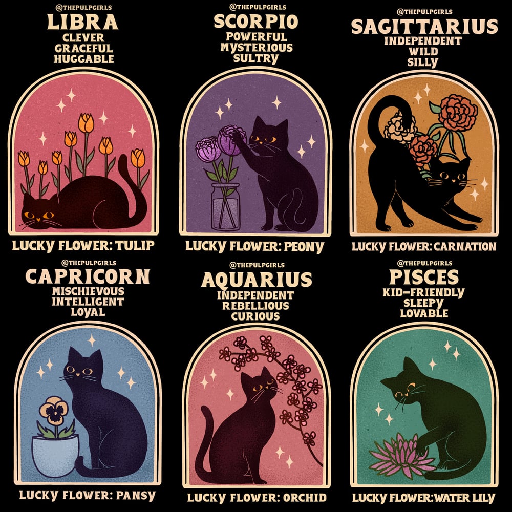 Image of DARK ASTROLOGY CAT TEE