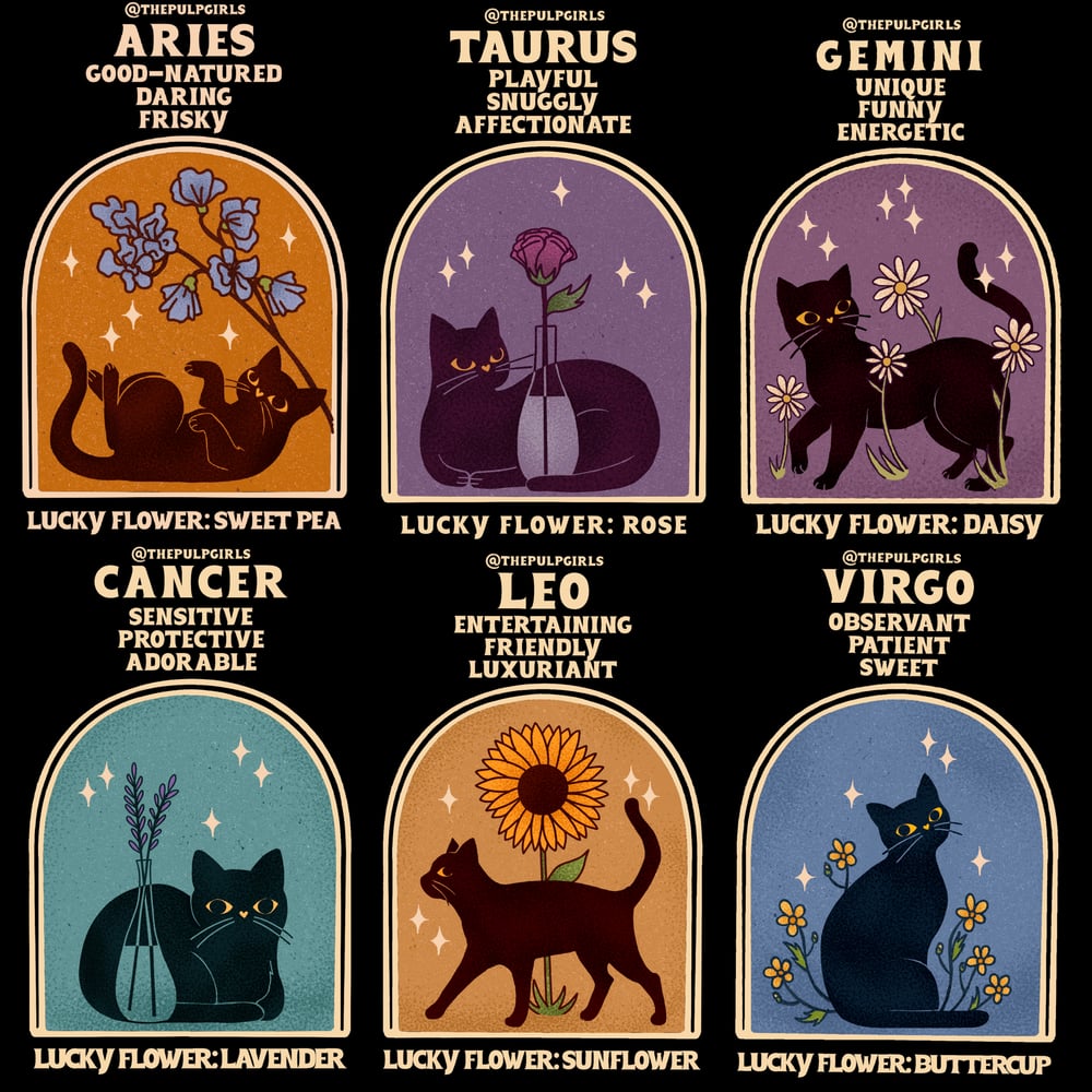 Image of DARK CAT ASTROLOGY CREWNECK