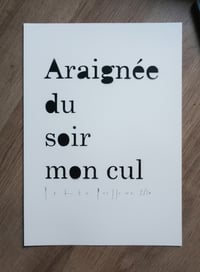 Araignée du soir