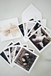 Image 1 of Luxe 5x5 Notecard Sets