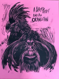 Image 1 of Black Parrot and an Orangutan