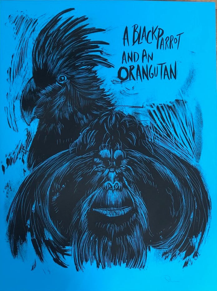 Black Parrot and an Orangutan