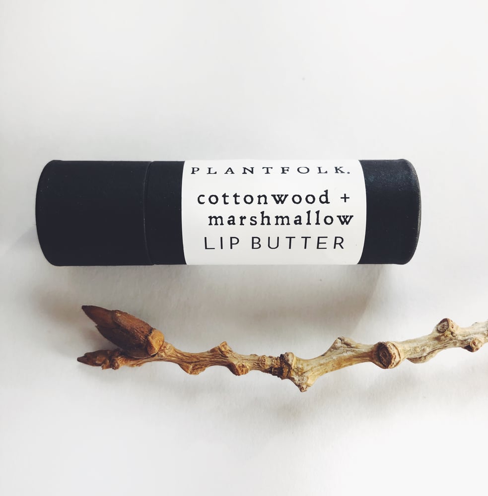 Image of botanical lip butters / 