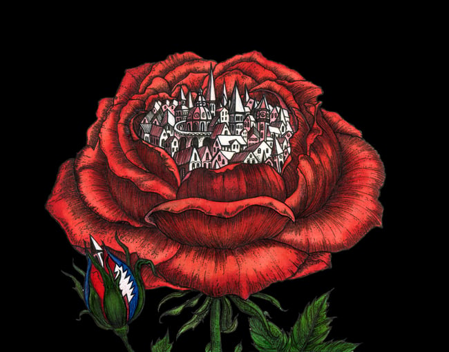american beauty rose grateful dead