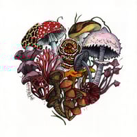 Image 1 of  Arrhythmia 