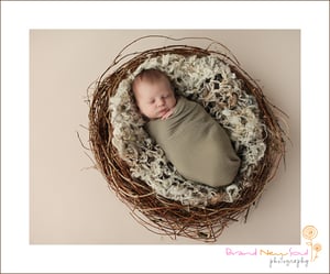 Image of Organic Realistic Birds Nest Photo Prop-Material option A.