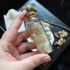 Real Snake Shed Curio Jar