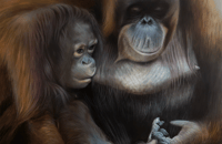 Image 2 of Mothers Comfort - Acrylic Painting 