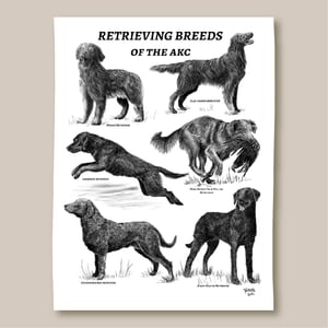 Image of Retrieving Breeds Poster