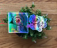 Holographic Stickers