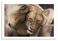 Image 1 of Unconditional - Acrylic Painting 