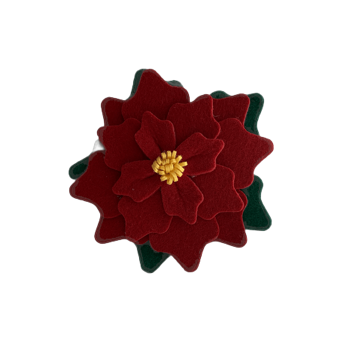 Pointsettia - Collar flower