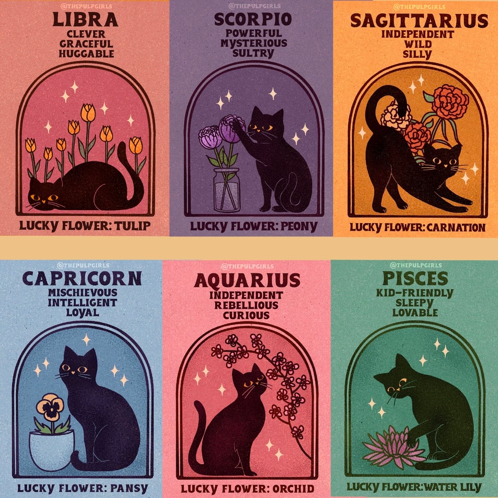 Image of CAT ASTROLOGY JOURNAL