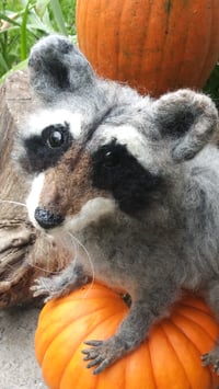 Image 1 of 12" Needle felted Raccoon