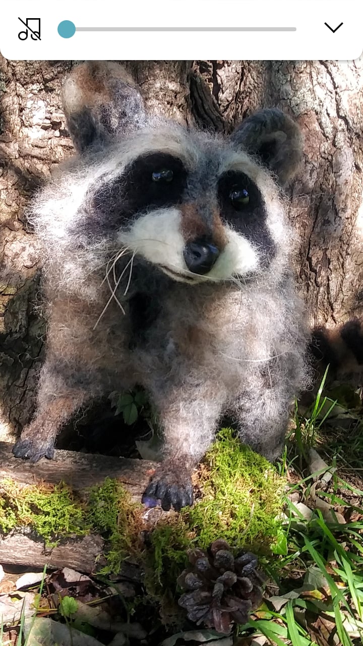 Image of Needle felted Raccoon