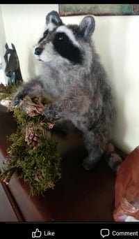 Image 3 of 12" Needle felted Raccoon