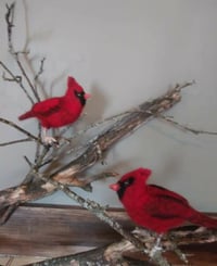 Image 2 of Needle felted cardinal birds