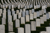 Veterans Honor 