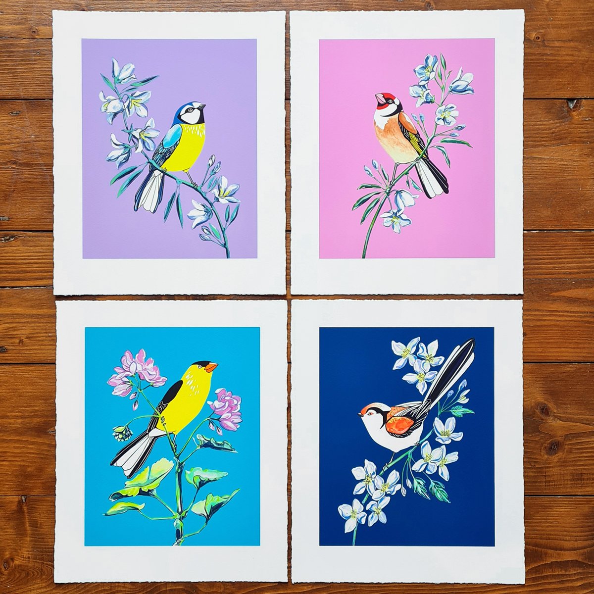 Image of Goldfinch and Bellflower (print)