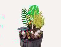 Wild One Cake Topper