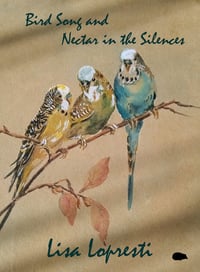 Bird Song and Nectar in the Silences