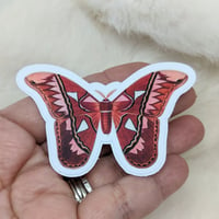 Pink Moth Sticker