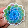 Colorful Succulent Sticker
