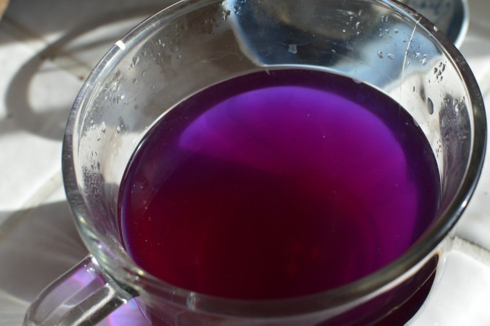 JAMMIN' JAMBOLAN! BERRY POWDER. Diabetes-Purifier-Anemia-Hemoglobin-Parasites-Heart-IBS-Ulcers