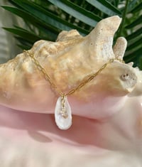 Image 1 of Oyster Shell Necklace N168