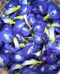 Image 1 of Butterfly Pea Flower