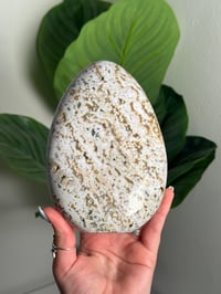 Image 1 of SEA JASPER FREEFORM -MADAGASCAR- D