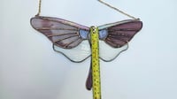 Image 3 of Purple moth