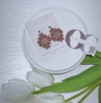 2025 Texas State Fair 2nd place winners 