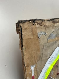 Image 5 of Nail Halo (Original)