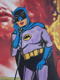 Image 4 of 'The Caped Crusades'