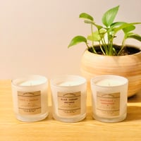 Image 2 of BEST SELLERS BUNDLE