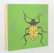 Image of Olive Green with Beetle 10 x 10